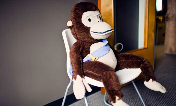 MailChimp Careers - Freddie