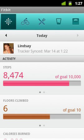 Fitbit mobile dashboard