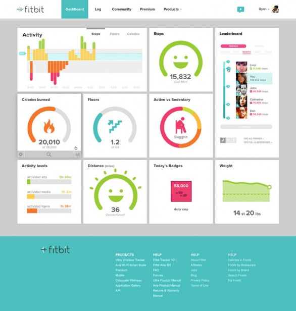 Fitbit web dashboard