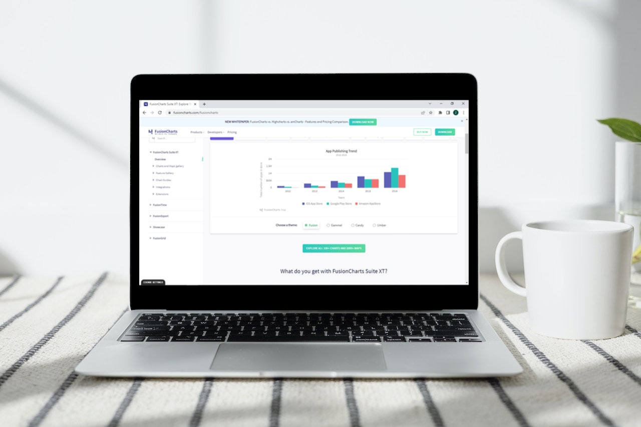 What Are the Best Practices for Using a Pie Chart (pie graphs)